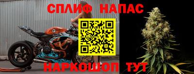 спиды Заводоуковск