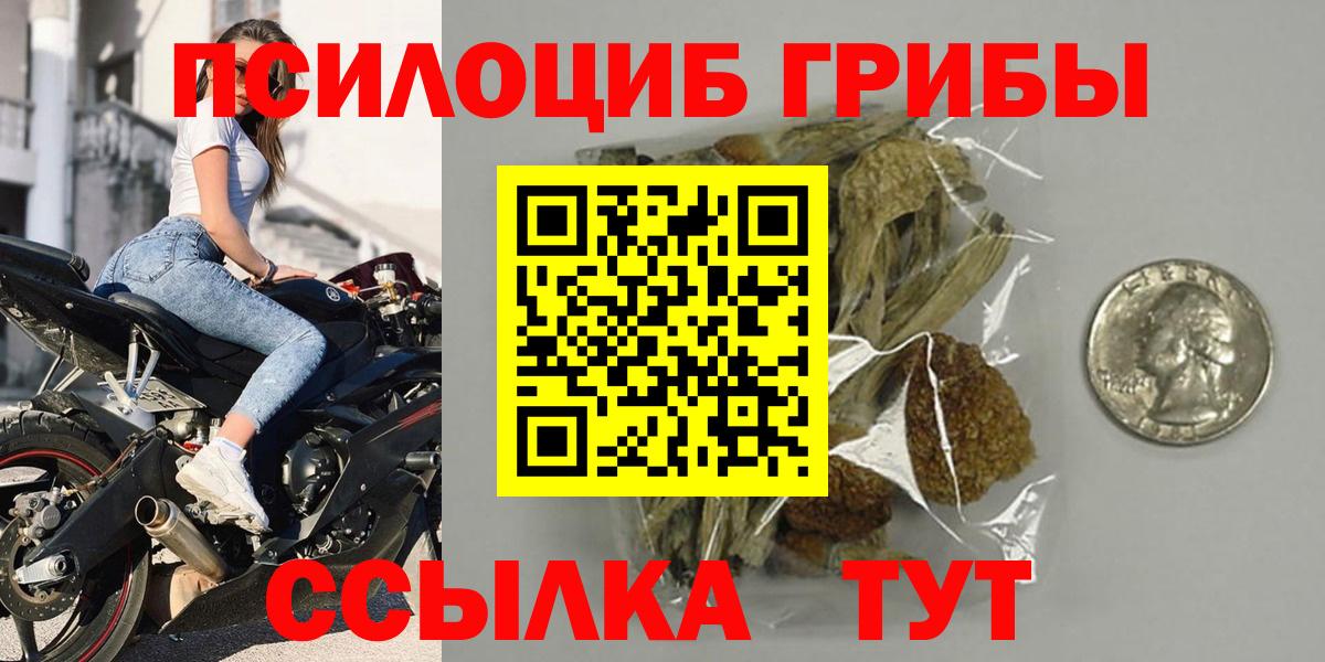 Псилоцибиновые грибы MAGIC MUSHROOMS  Вход с VPN  Можайск 